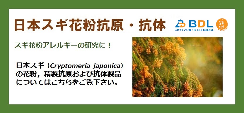 日本スギ花粉抗原・抗体バナー